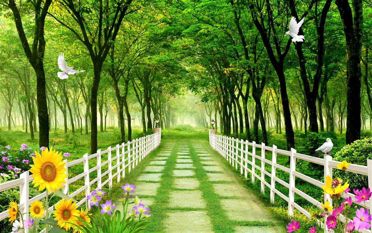 Fototapeten Üppiger grüner Wald und ein Weg mit Blumen übersät