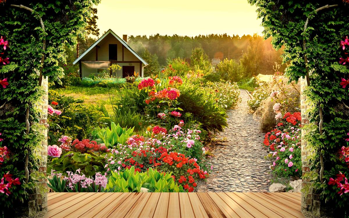 Fototapeten Naturlandschaft mit dem Haus