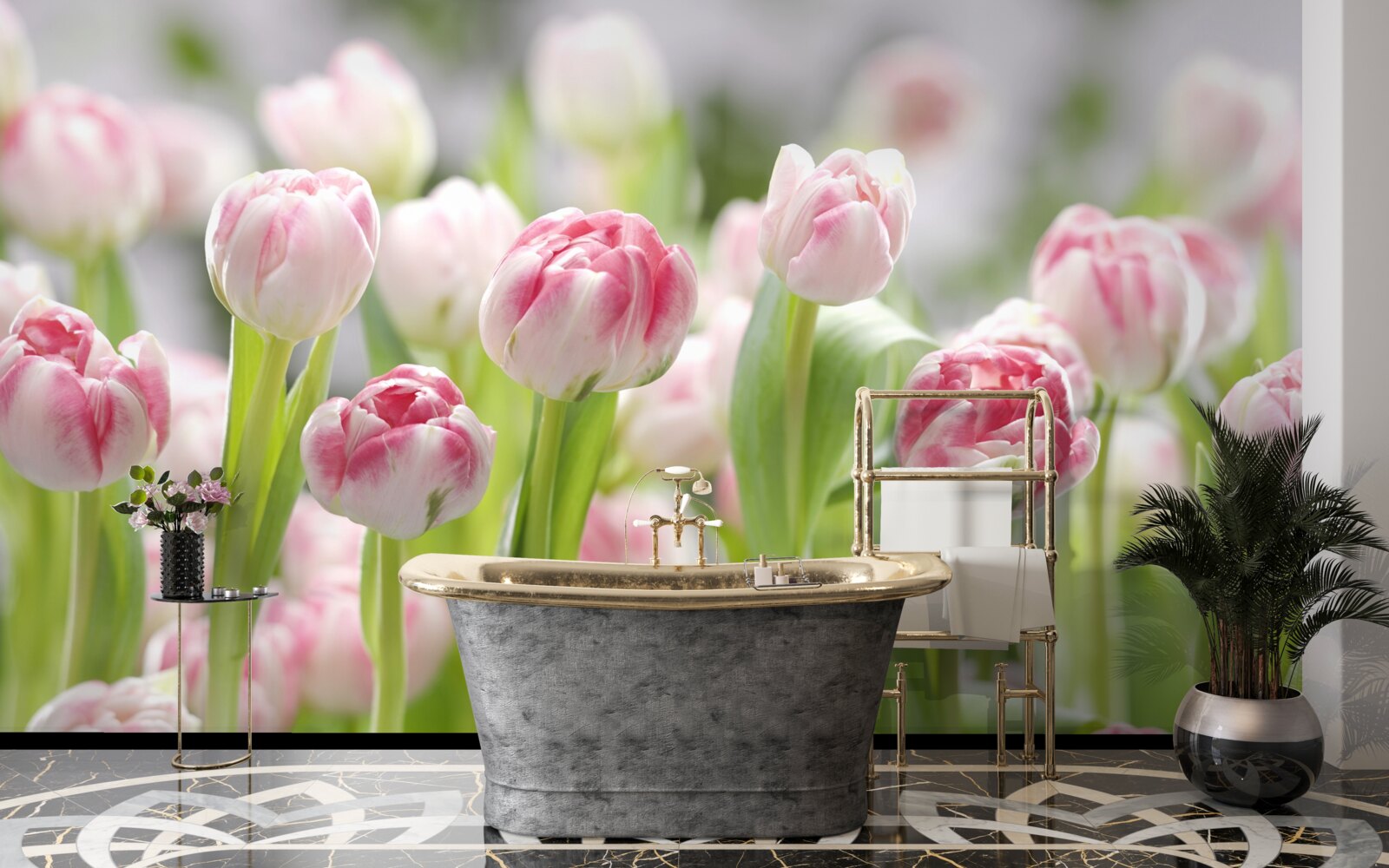 Fototapeten Ungeöffnete Knospen von Tulpen
