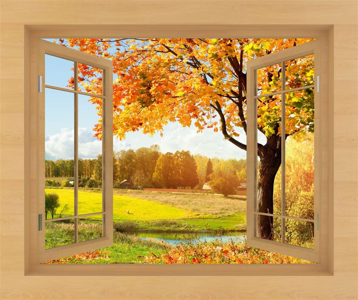 Fototapeten Herbstansicht aus dem Fenster