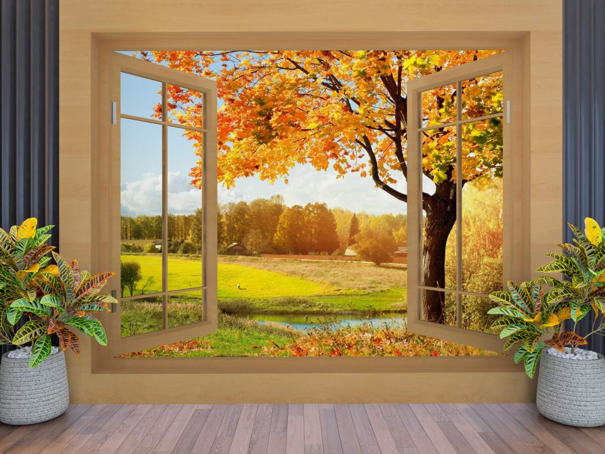 Fototapeten Herbstansicht aus dem Fenster