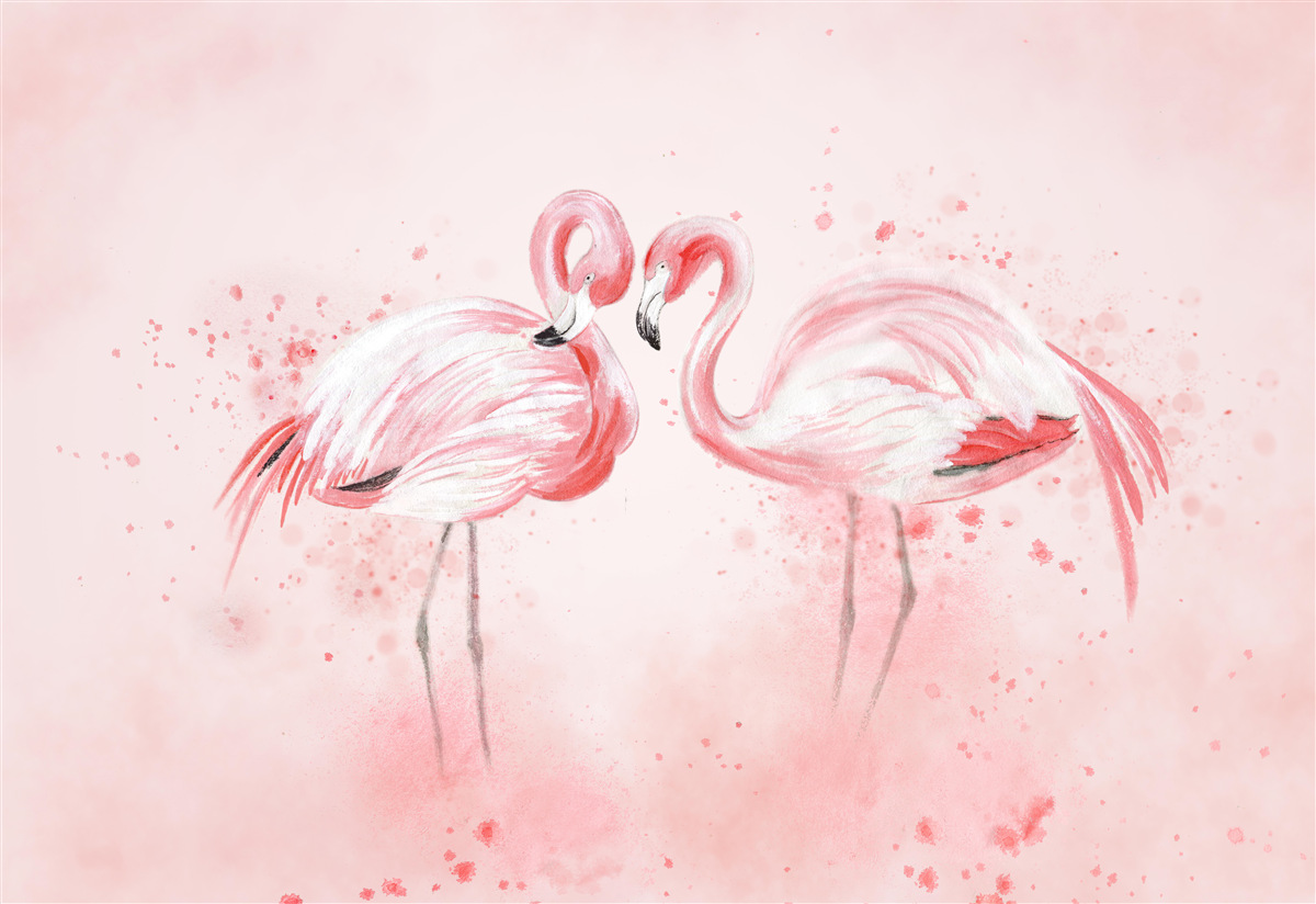 Fototapeten Zwei Flamingos