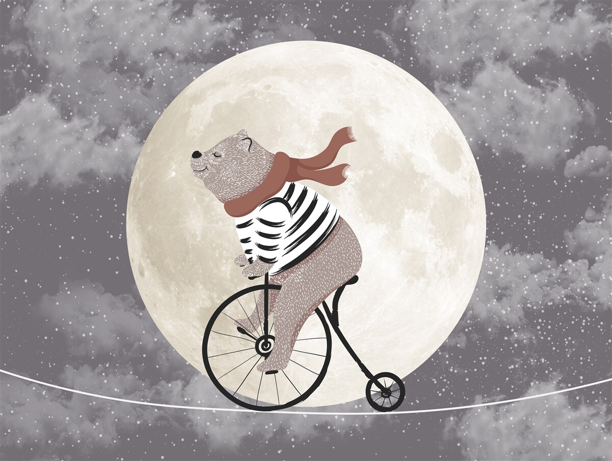 Fototapeten Fahrradpanda auf einem Fahrrad