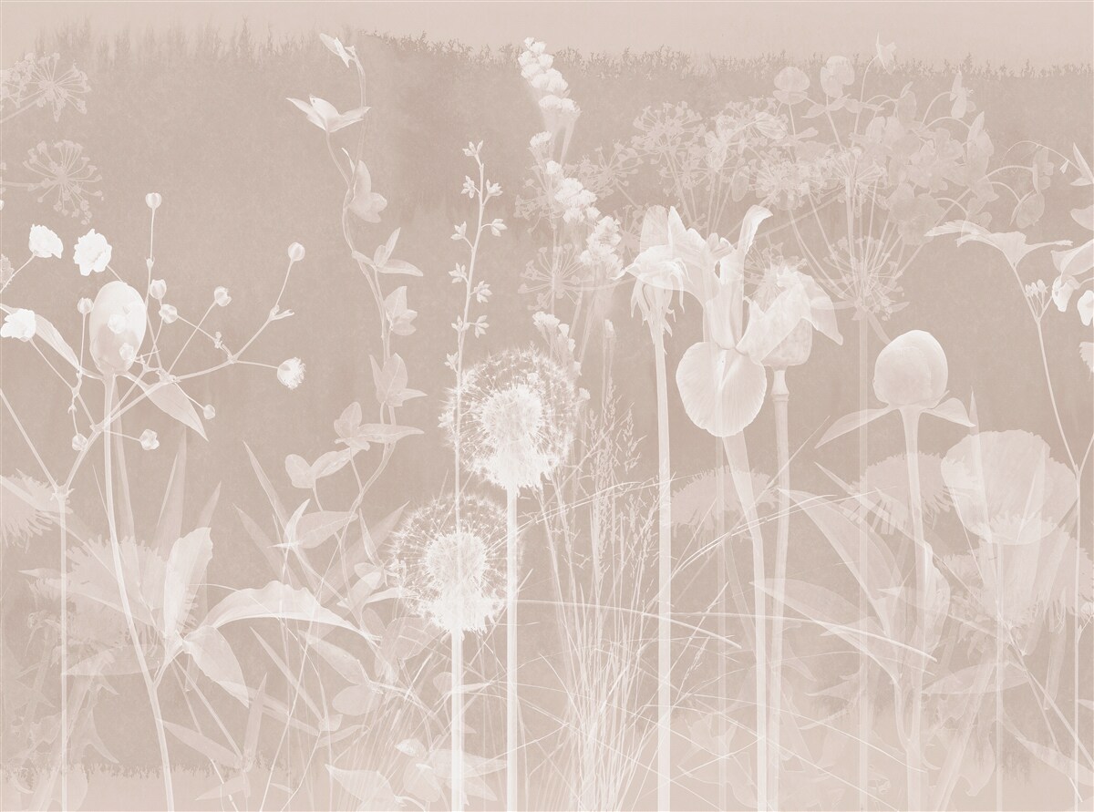 Fototapeten Wildnis