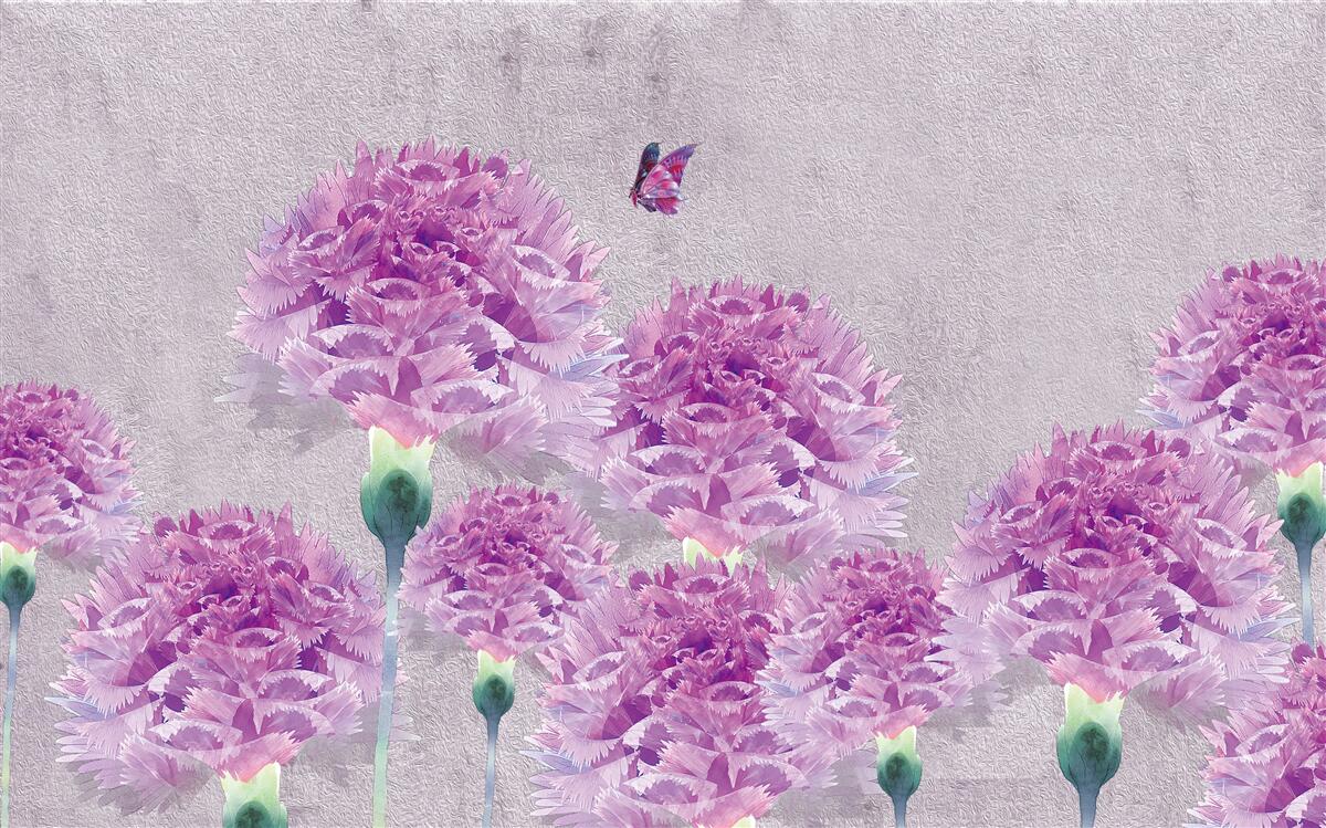 Fototapeten Große lila Nelken und ein Schmetterling