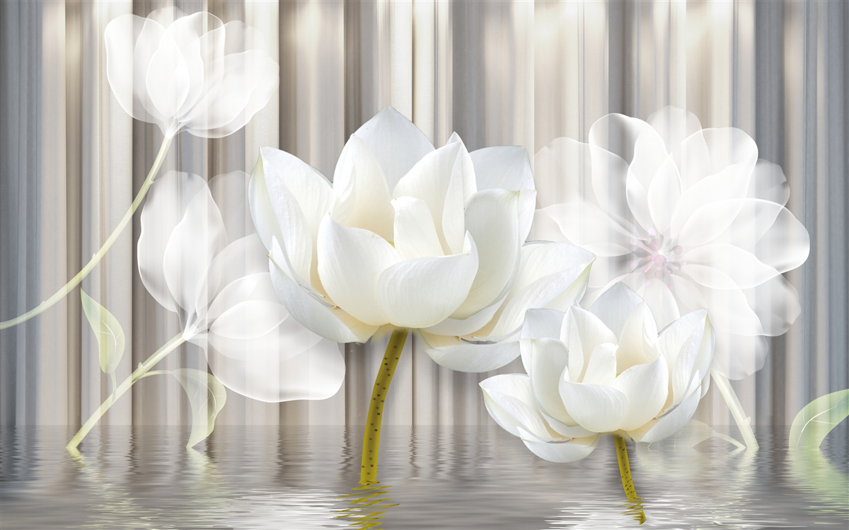 Fototapeten Weiße Tulpen, leicht wie Luft