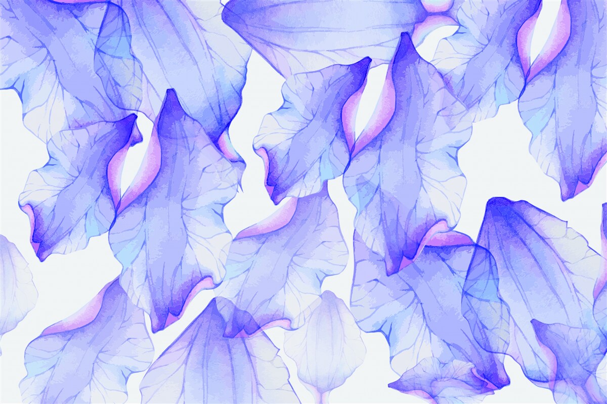 Fototapeten Blütenknospen mit einem transparenten lila Schatten