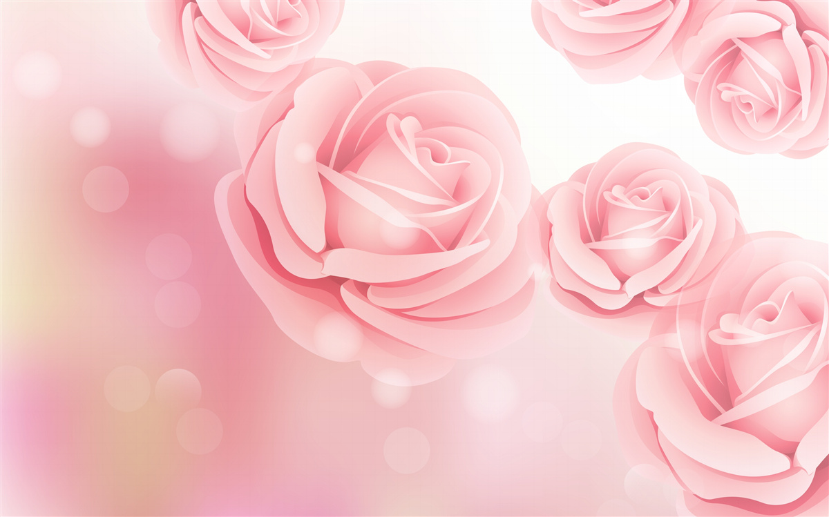 Fototapeten Rose weiche Blumen in einem rosa Farbton