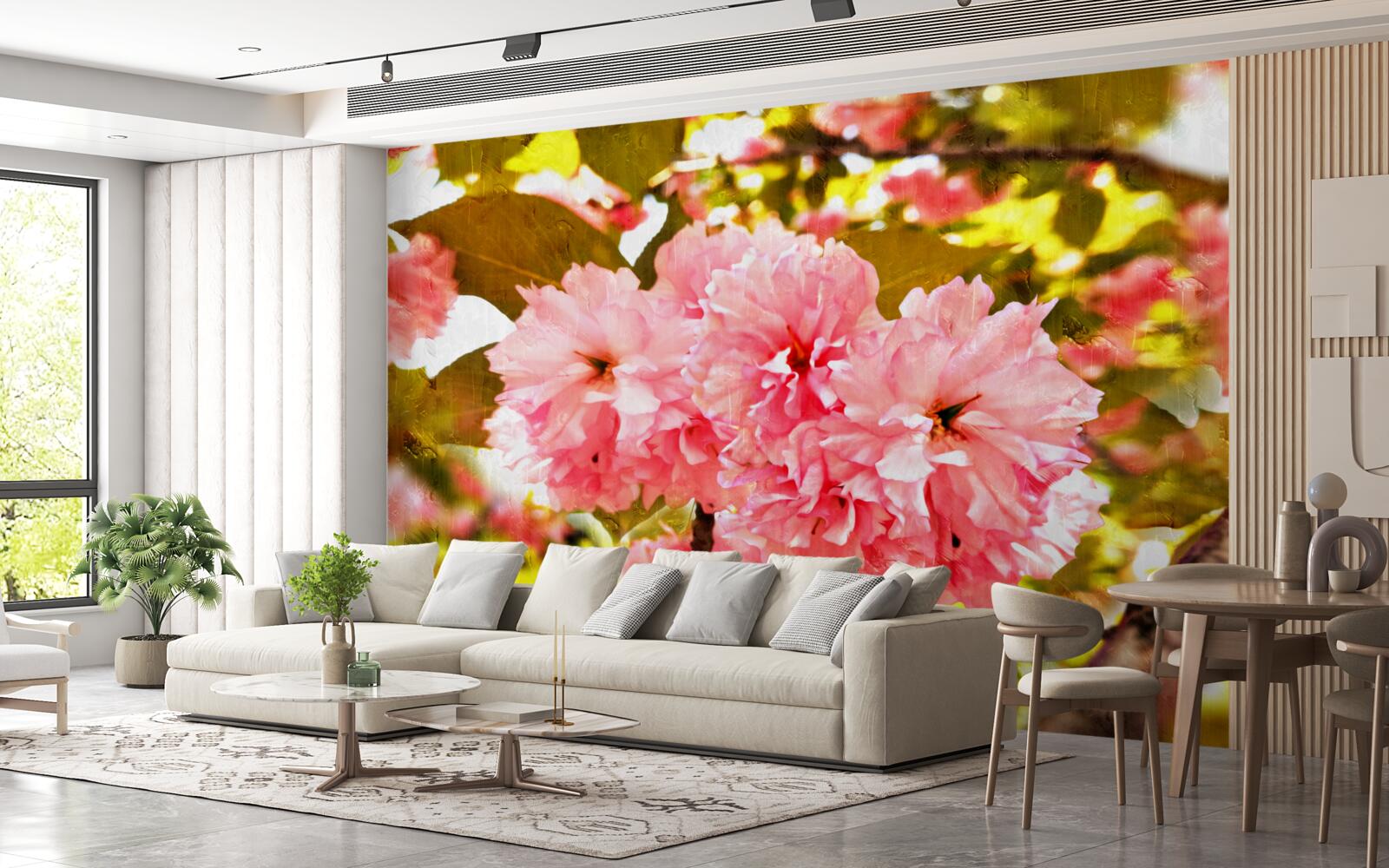 Fototapeten Kanzan Sakura in voller Blüte