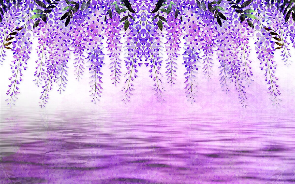 Fototapeten Wisteria mit einem lila Farbton gegen die gleiche Farbe