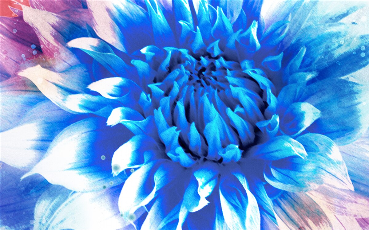 Fototapeten Blau wie Azure Aster