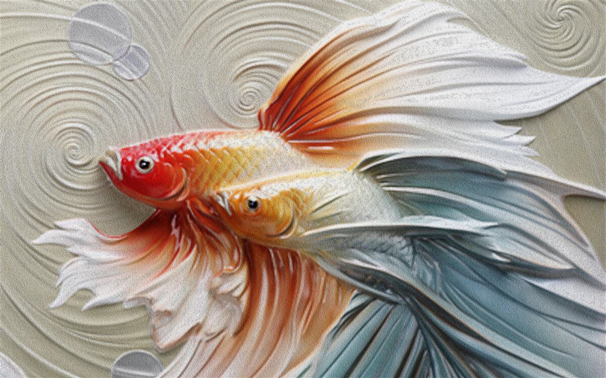 Fototapeten Zwei farbenfrohe Fische mit Flossen