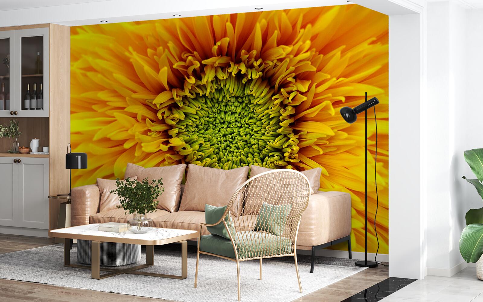 Fototapeten Chrysanthemen mit hellen gelben Blütenblättern