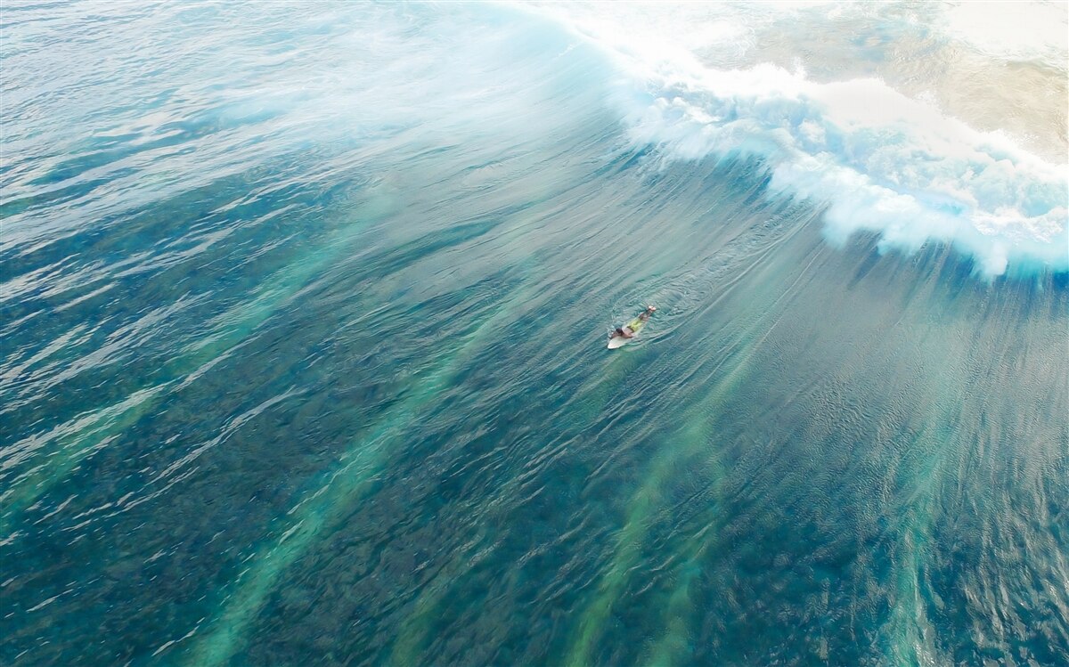 Fototapeten Überwindung der Ozeanwellen durch Surfen