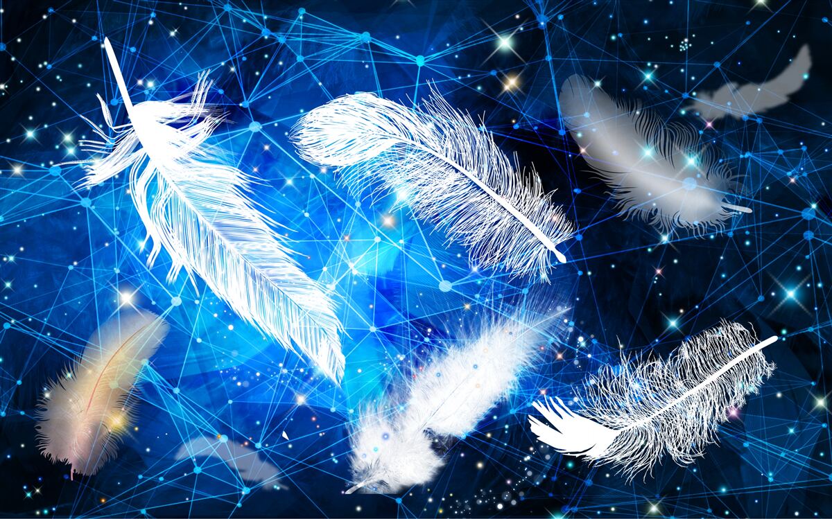Fototapeten Sternenhimmel als Hintergrund für weiße Federn